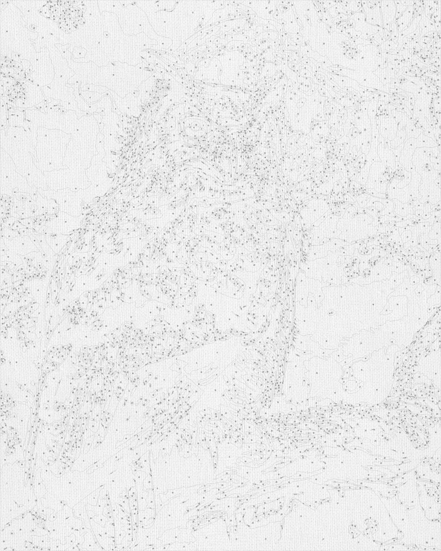 Maľovanie podľa čísel – Múdra sova 40*50 cm LW 30830