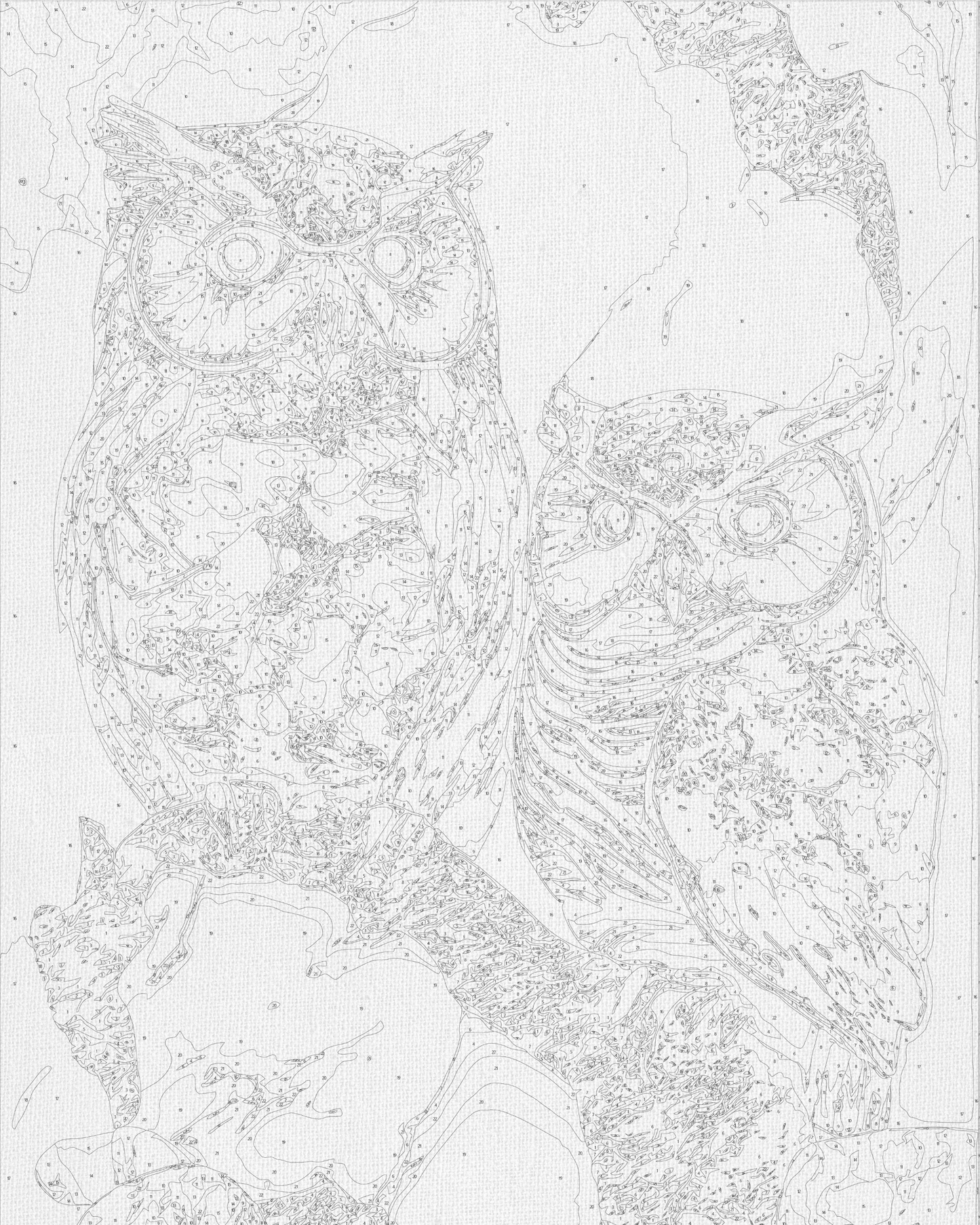 Maľovanie podľa čísel Zvieratá. Dve sovy s metalickými farbami 40*50 cm LW 3405