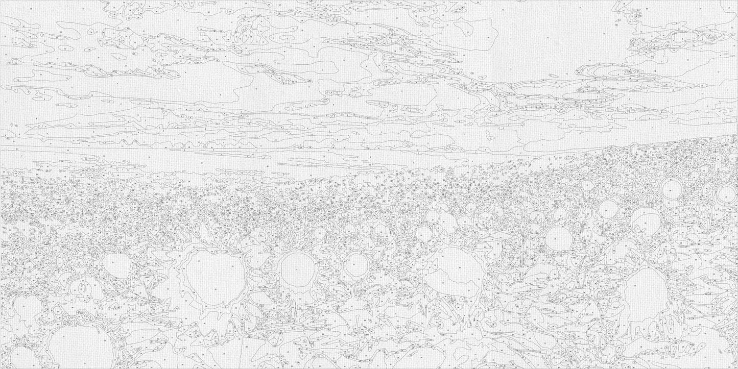 Maľovanie podľa čísel krajinka Slnečnicové pole 40×80 cm LW 5099