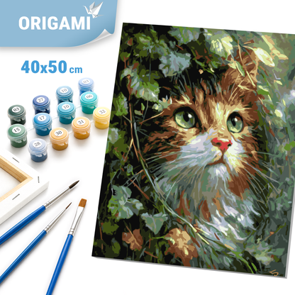 Maľovanie podľa čísel na ráme 40*50 cm - Mačiatko so smaragdovými očami - Zvieratá - LW 2002-01