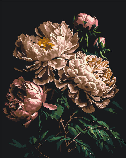 Maľovanie podľa čísel na ráme 40*50 cm Kvety - Pivónie na tmavom pozadí LW 2003