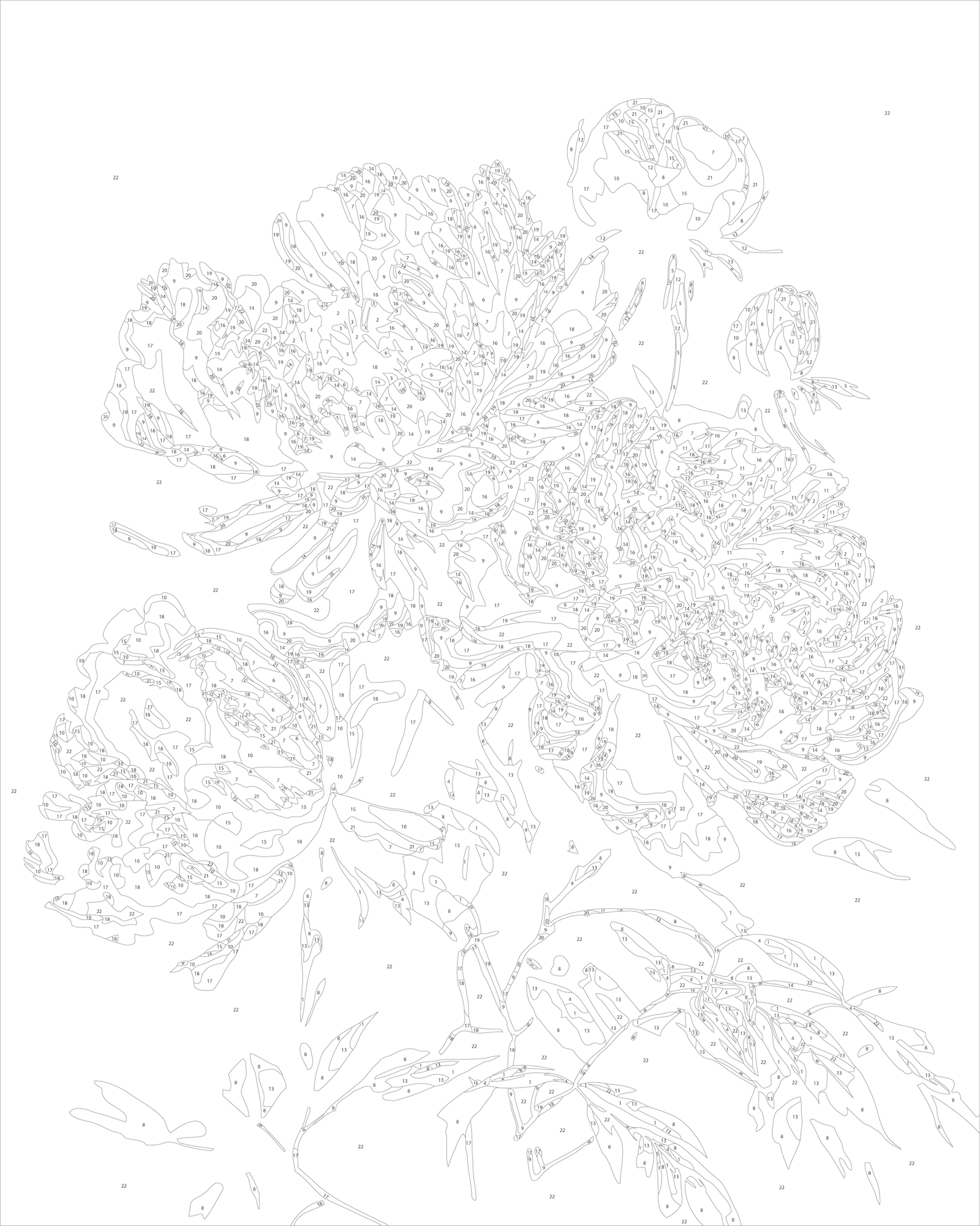 Maľovanie podľa čísel na ráme 40*50 cm Kvety - Pivónie na tmavom pozadí LW 2003