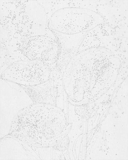 Maľovanie podľa čísel Bielé kaly. Kvety. S metalickými farbami 40*50 cm LW 30360