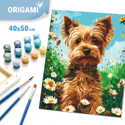 Maľovanie podľa čísel na ráme 40*50 cm - Jorkšírsky teriér - Zvieratá - LW 30470