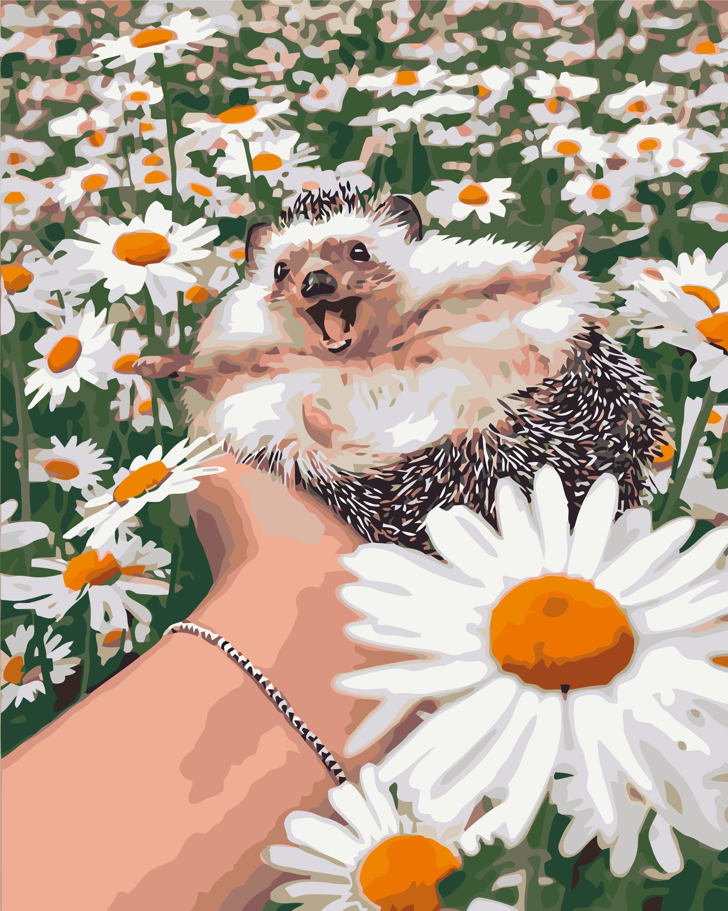 Maľovanie podľa čísel – Ježko v sedmokráskach 40*50 cm LW 3086