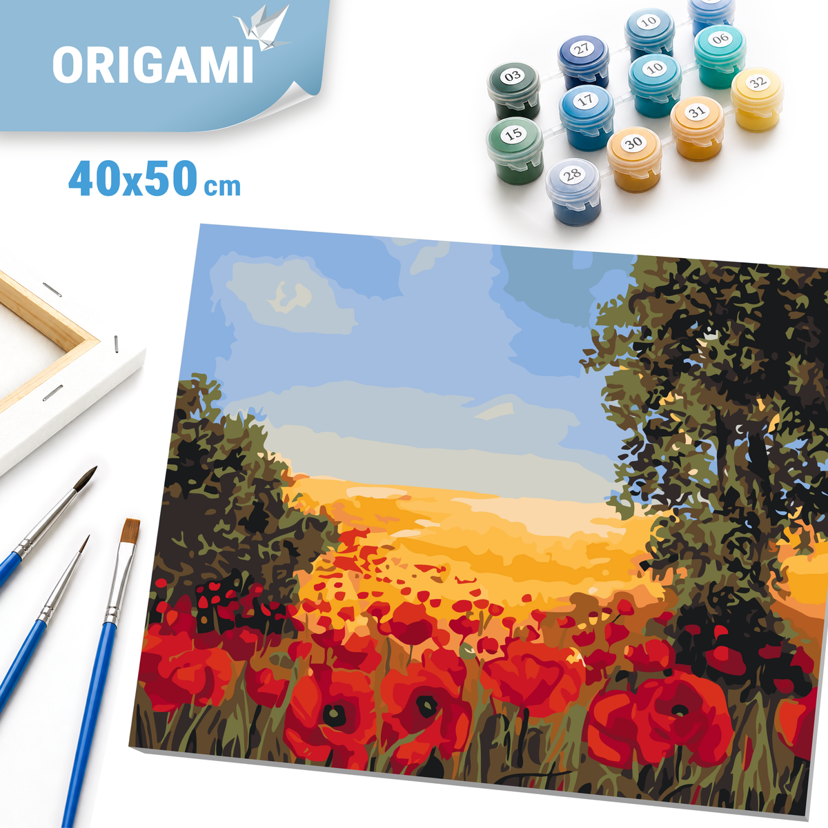 Maľovanie podľa čísel na ráme 40*50 cm - Poľné maky - Kvety - LW 3131