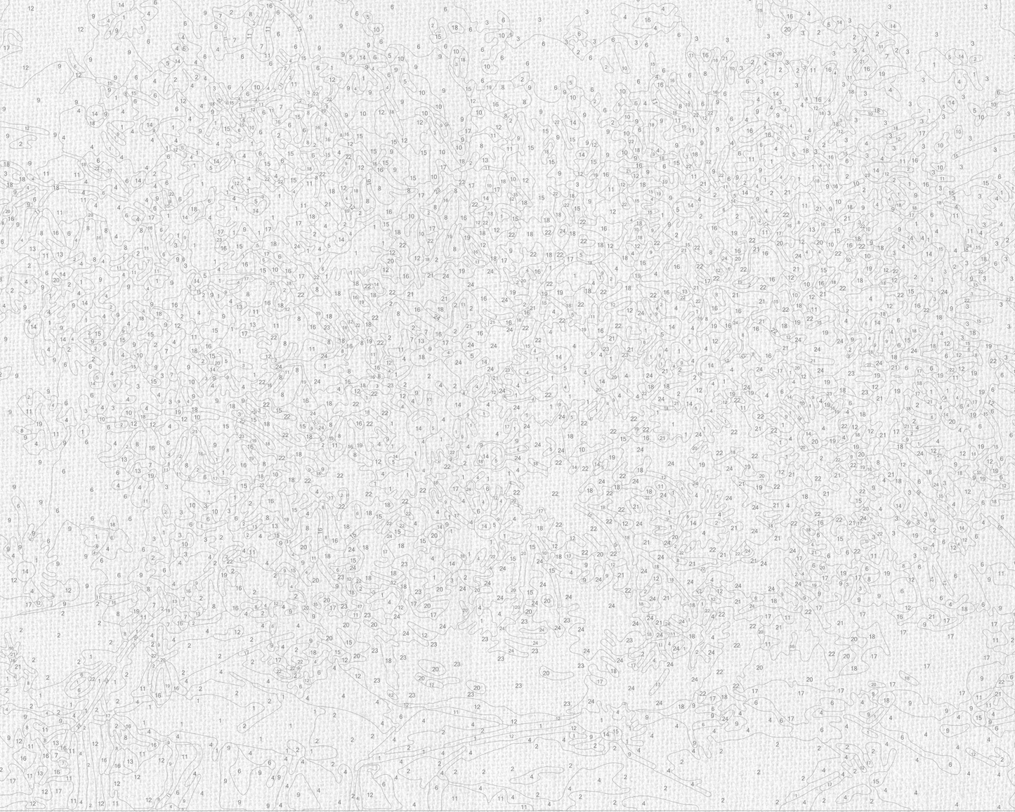 Maľovanie podľa čísel – Kvety. Kytica margarét 40*50 cm LW 31500