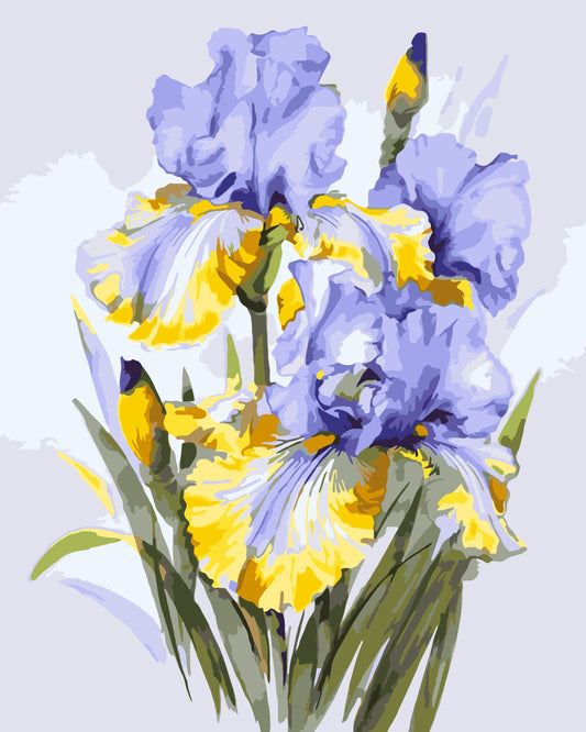 Maľovanie podľa čísel – Kytica kosatcov. Kvety 40*50 cm LW 31600