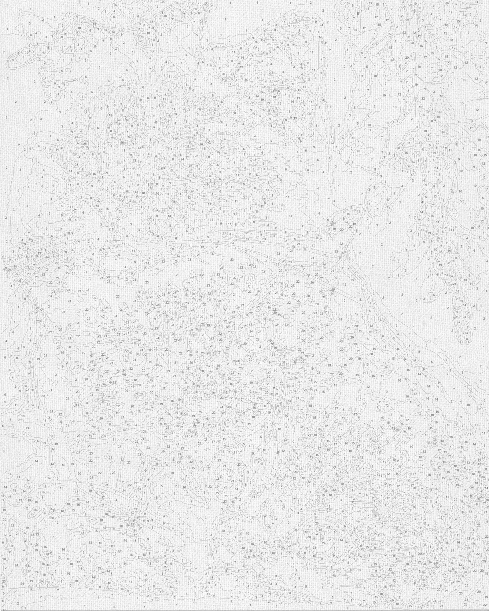 Maľovanie podľa čísel na ráme 40*50 cm - Hravé mačiatka - Zvieratá - LW 31720