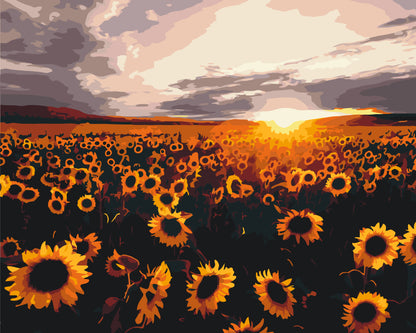 Maľovanie podľa čísel krajinka – Ukrajinská Slnečnicové pole 40*50 cm LW 3175 40×50 pbn-p