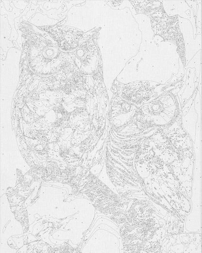 Maľovanie podľa čísel Zvieratá. Dve sovy s metalickými farbami 40*50 cm LW 3405