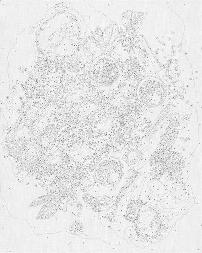 Maľovanie podľa čísel – Zátišie. Svetové koreniny 40*50 cm LW 3451