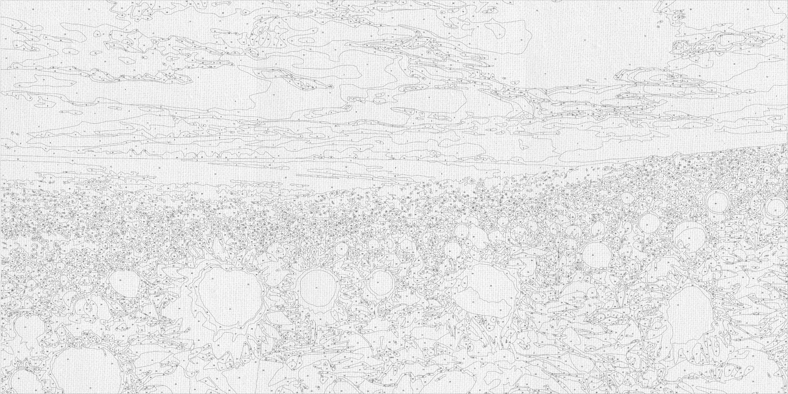 Maľovanie podľa čísel na ráme 40*80 cm krajinka Slnečnicové pole LW 5099