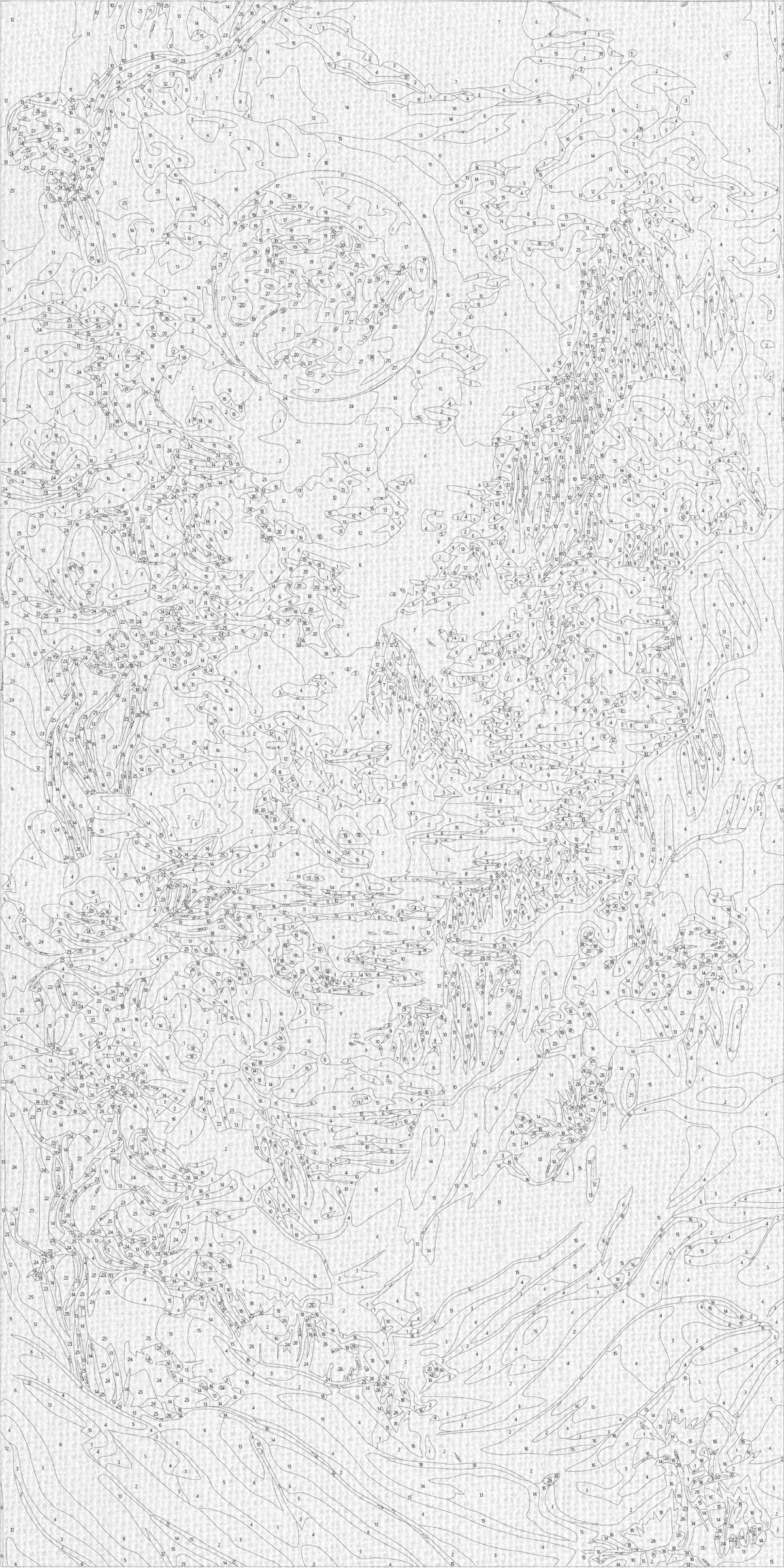 Maľovanie podľa čísel na ráme 40*80 cm - Abstrakcia: horské kvety - Kvety/Krajinka - LW 5104